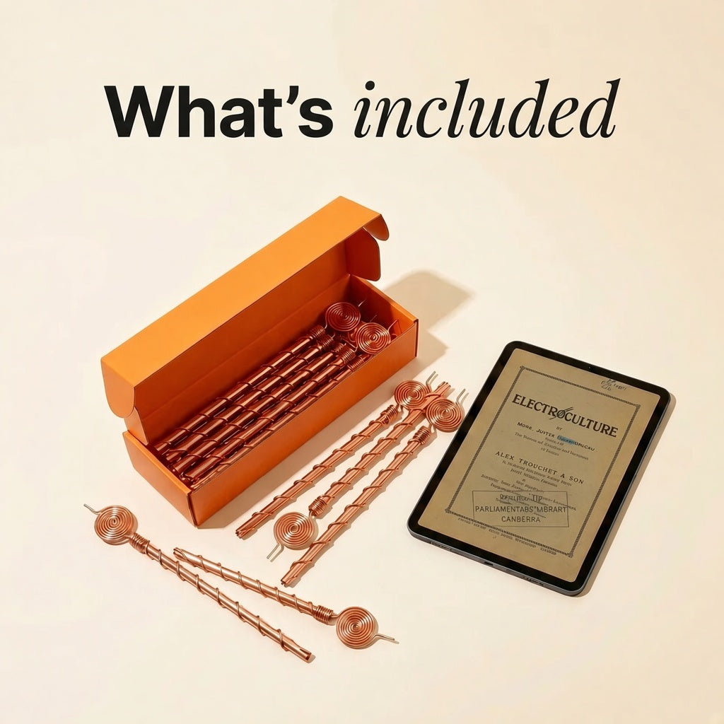 ElectroCulture Pure Copper Antenna