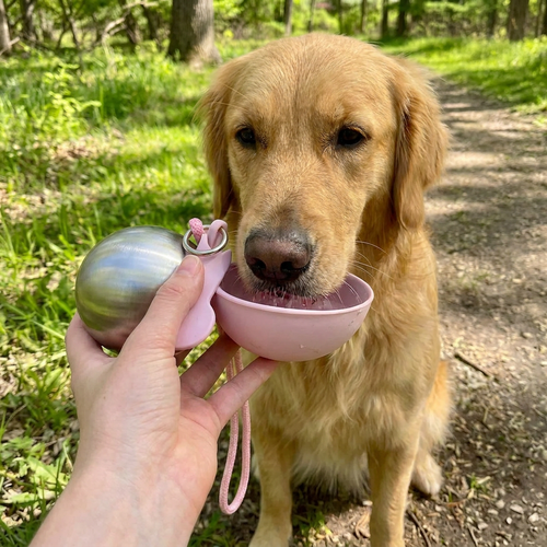 2-in-1 Portable Dog Water Bottle with Treat Dispenser
