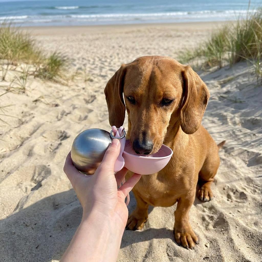 2-in-1 Portable Dog Water Bottle with Treat Dispenser
