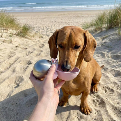 2-in-1 Portable Dog Water Bottle with Treat Dispenser