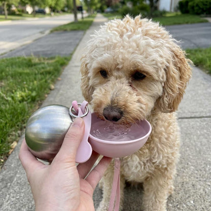 2-in-1 Portable Dog Water Bottle with Treat Dispenser