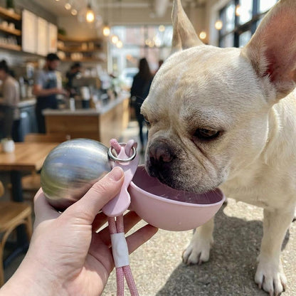 2-in-1 Portable Dog Water Bottle with Treat Dispenser